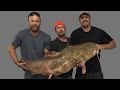 Missouri Record Fish Stories - Flathead Catfish