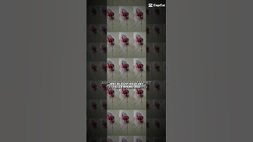 Quạt Treo Tường Senko TC16 đời 2011 vs 2012