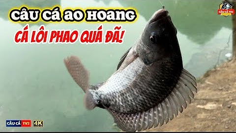 Tập 56 - Cận Cảnh Cá Lôi Phao Đầy Phấn Khích | Close-Up Of Excited Fish Bite | Câu Cá TV2