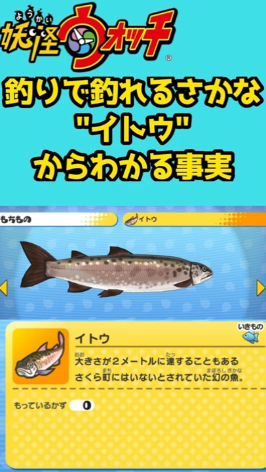 幻の魚 イトウ - YouTube