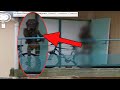 5 CHILLING Sightings Google Maps Tried To Censor! 5 CHILLING Sightings Google Maps Tried To Censor!