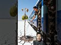 #farming #train #travel #shortsfeed #aivideo #aishorts #aianimation
