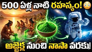 నాసా శాస్త్రవేత్తలు మెచ్చే సూపర్ ఫుడ్! | The Story of Spirulina in Telugu | Bhavyaveda☘️