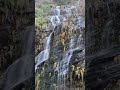 Mesmerizing Waterfall at Annapurna Base Camp | Himalayan Serenity