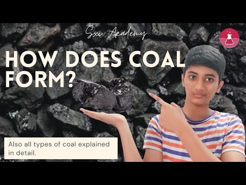 How coal is formed?