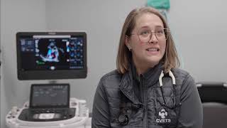 Pacemakers in Dogs & Cats at CVETS