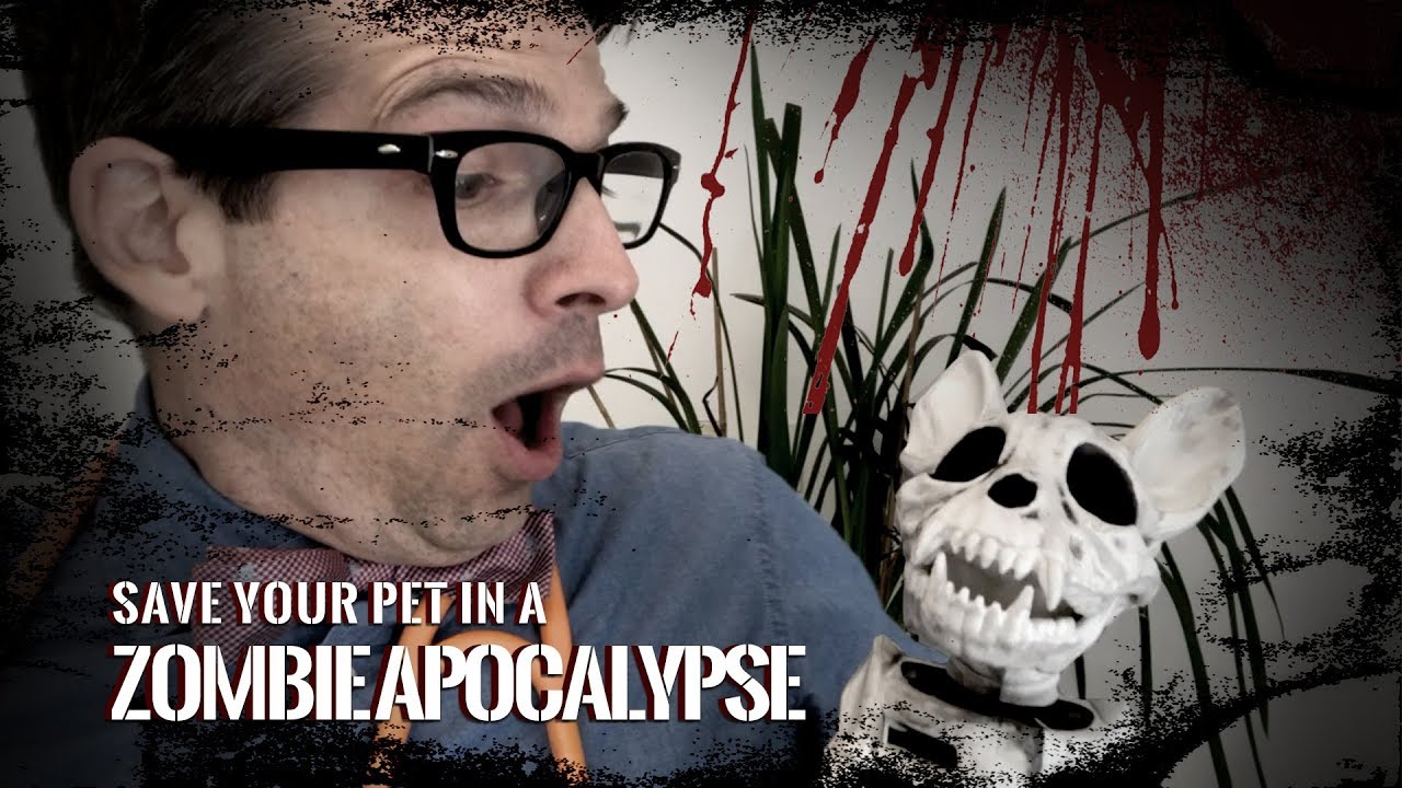Keep Your Pet Alive In a Zombie Apocalypse - YouTube