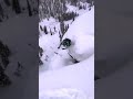 Travis Rice ain't human 🧠💥 Mind-blowing Line at Natural Selection Tour Revelstoke