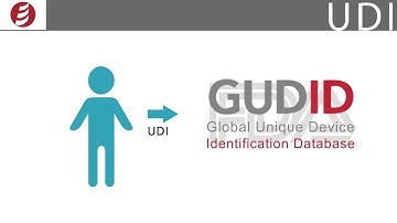 Introduction to the UDI System in the USA