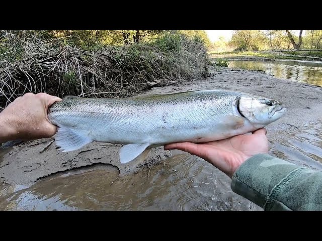 How-To Drift Fishing For Salmon, Trout, And Steelhead 