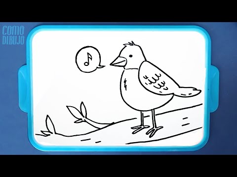 Cómo dibujar un Pájaro paso a paso | Dibujos de animales @ComoDibujo