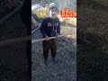 Kashmiri azadi