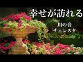 【恋愛が良い方へ向かいます】好きな人からの連絡が来たり・連絡が増えたり、距離が縮むなど望む方向へと進みます💗チェレスタ・川の音Happiness comes