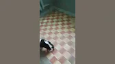 СO 28. Початок кращого