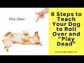 6 Steps to Teach Your Dog to Roll Over and “Play Dead” 6 Steps to Teach Your Dog to Roll Over and “Play Dead”