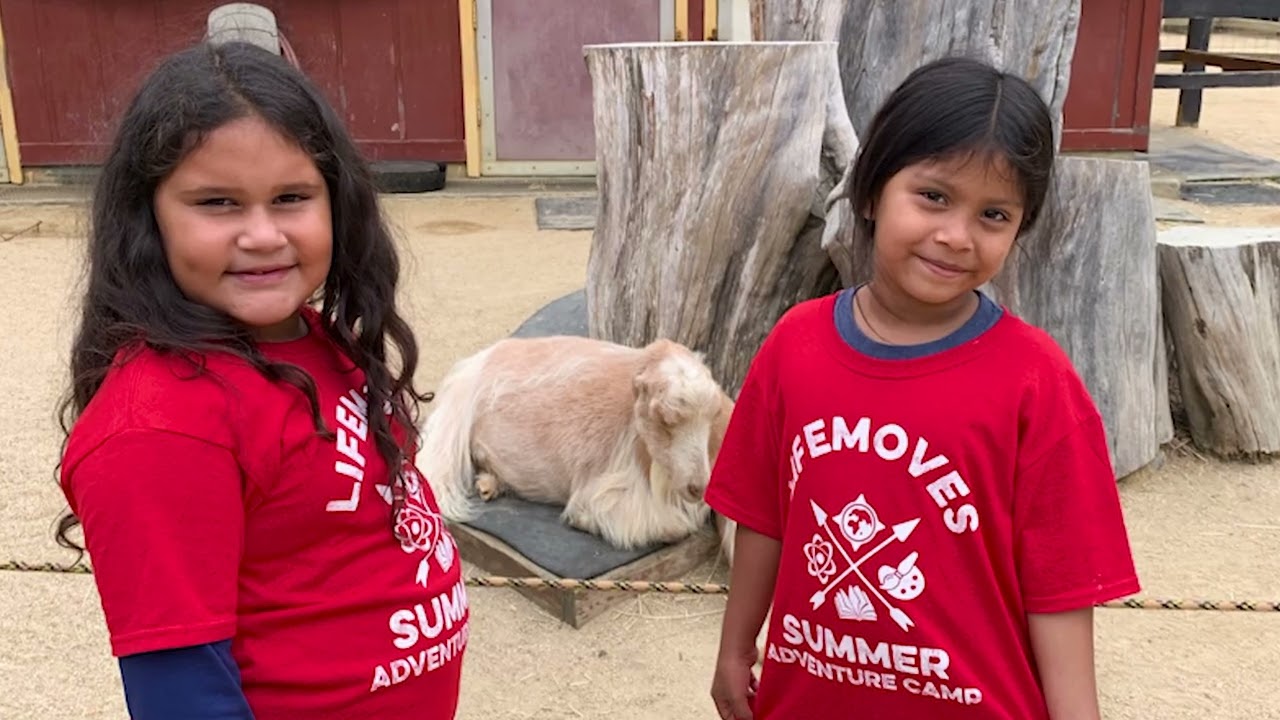 Summer Camp for Unhoused Youth: LifeMoves in Action