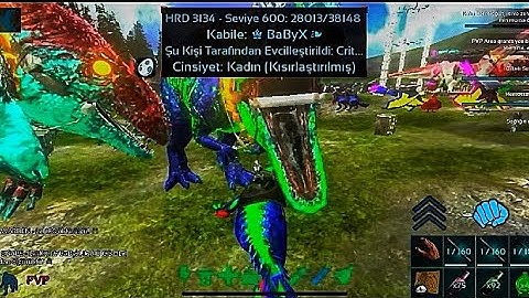 ARK | MOBİLE  NEW PVP/PVXC SERVER HACKER RAİD