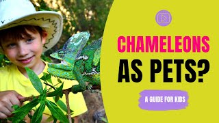 Do Chameleons Make Good Pets? | A Guide for Kids