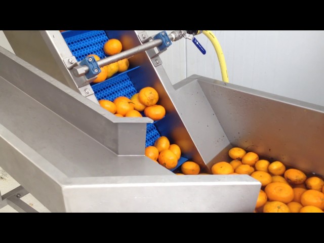 Fabrication Du Jus D'orange Dans La Machine De Presse-fruits Dans La  Cuisine Image stock - Image du désintoxication, générateur: 88843443