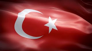 Famous Real project8 with python (Turkiya bayrog'i) Net Worth