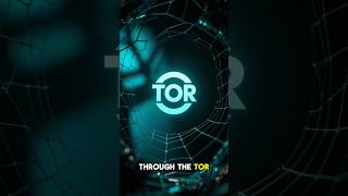 The Hidden Wiki Entry To The Dark Webs Darkest Corners