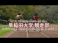 【早稲田大学】トップランナーを輩出し続ける競走部。「自分で考えてトレーニングを行う」環境で世界に向けて羽ばたく