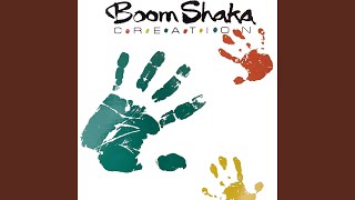 Never Be Alone - Boom Shaka