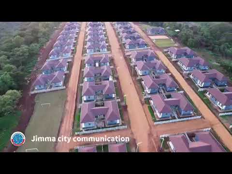 Jimmaa my king #jimma #jimmaa #jimmacity.