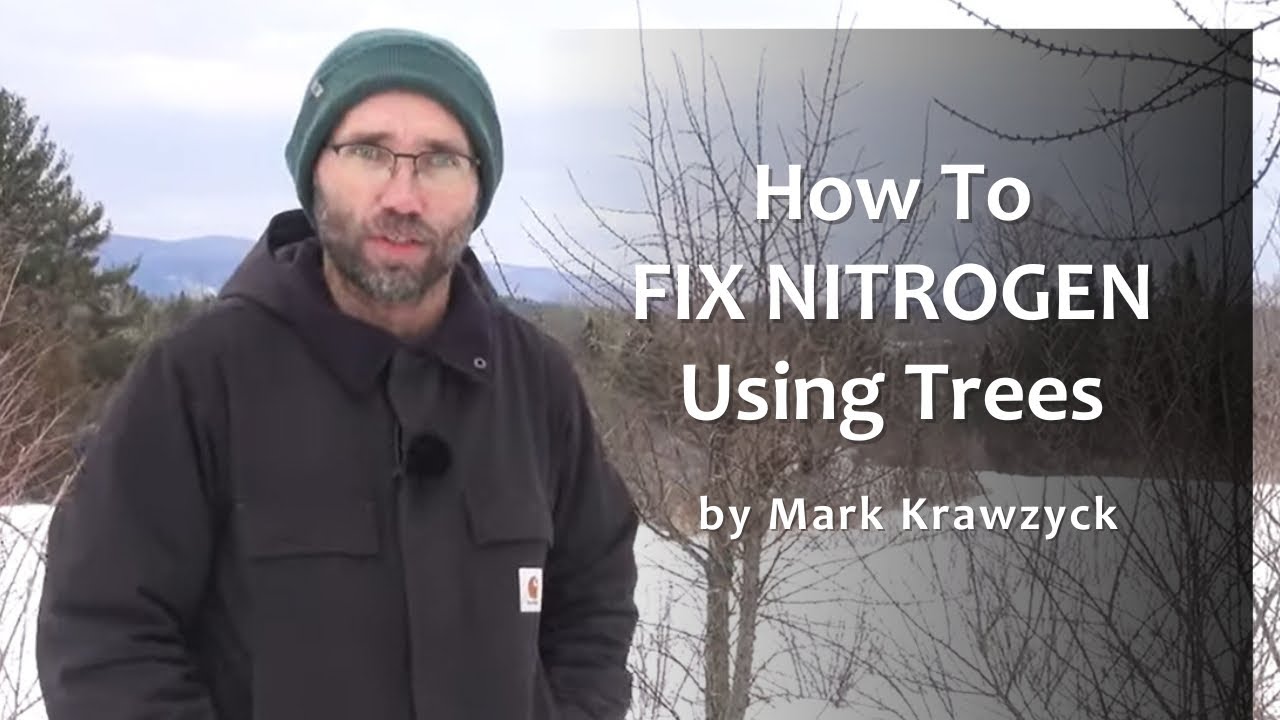 How To Fix Nitrogen on Your Property with Trees & Shrubs by Mark Krawczyk
