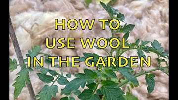 How to use wool in the garden