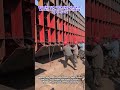 Witness The Incredible Scale Of Modern Industrial Shipbuilding Operations