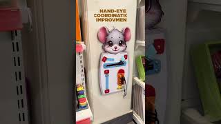 Turn Walls into Learning Spaces | Mittstore Wall Mount Toys | Play Based Learning - Day 1