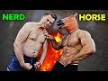 NERD vs HORSE