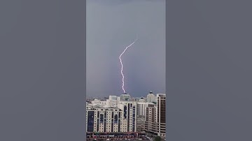 Lightning Strikes the Tree — Nature’s Raw Power Unleashed! part -8 #naturepower #weather #newyork