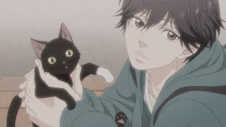 Kou {Ao Haru Ride} [edit]