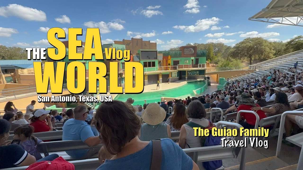 SeaWorld San Antonio Shows: Sea Lions, Dolphins, Otters & Beluga Experience!