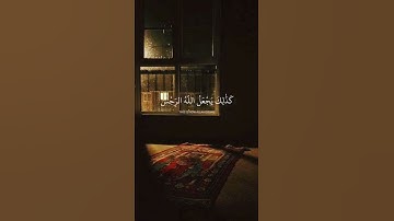 آيات من سورة الأنعام بصوت سعد الغامدي 🌹