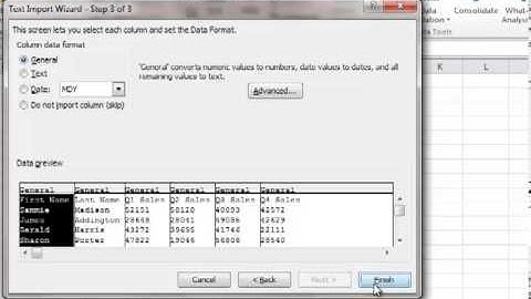 Excel 2010 Class Week 5: Part 1 of 3 (Import Text file)