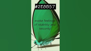 Calming and Refreshing Color #2E8B57