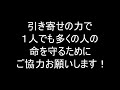 【緊急】このままでは南海トラフがヤバい！引き寄せを実践している人は全員これをやってください！