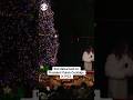 100th anniversary of National Christmas Tree Lighting ceremony #shorts