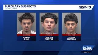 Cape Coral teens accused of stealing from business assaulting employees
