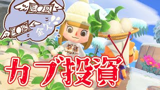 【あつ森】金欠になりすぎたのでカブ投資してみた【あつまれどうぶつの森】ゲーム実況