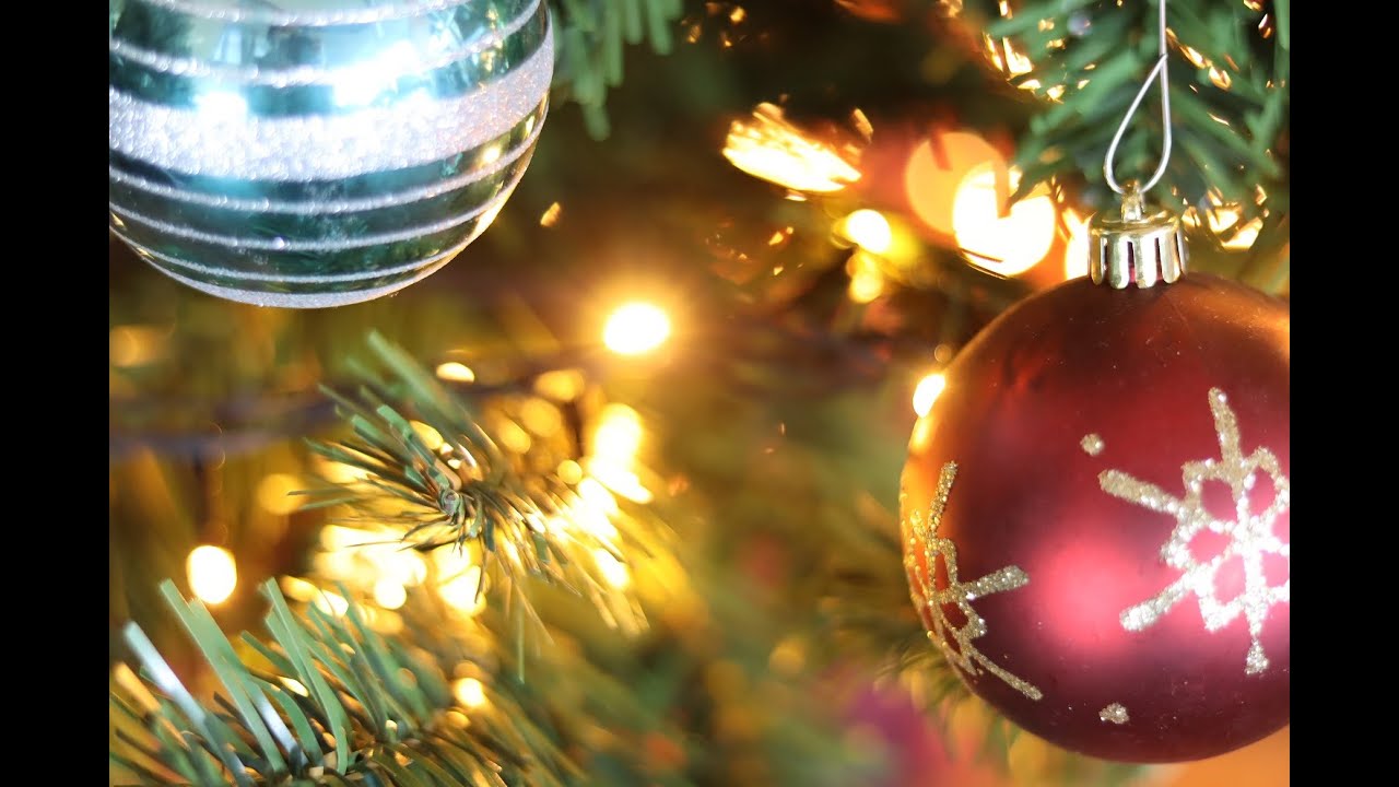 クリスマスツリーの準備 フロント周辺編 スタッフブログ 公式 鹿児島 砂むし温泉 指宿白水館