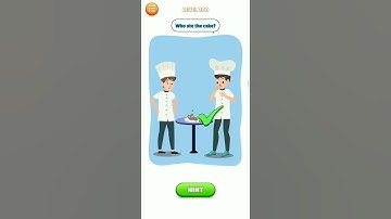 Brain Story:Tricky puzzle level 200 | Flare Games XT