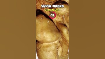 Macro - Super Macro - Close Up - Zooming - Photography - Camera - Ultra Zoom - Episode 24 - #shorts