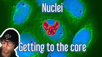 Bug Bounty Automation: Discovering Nuclei by projectdiscovery