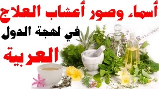 أسماء أعشاب ونباتات العلاج بلهجة الدول العربية