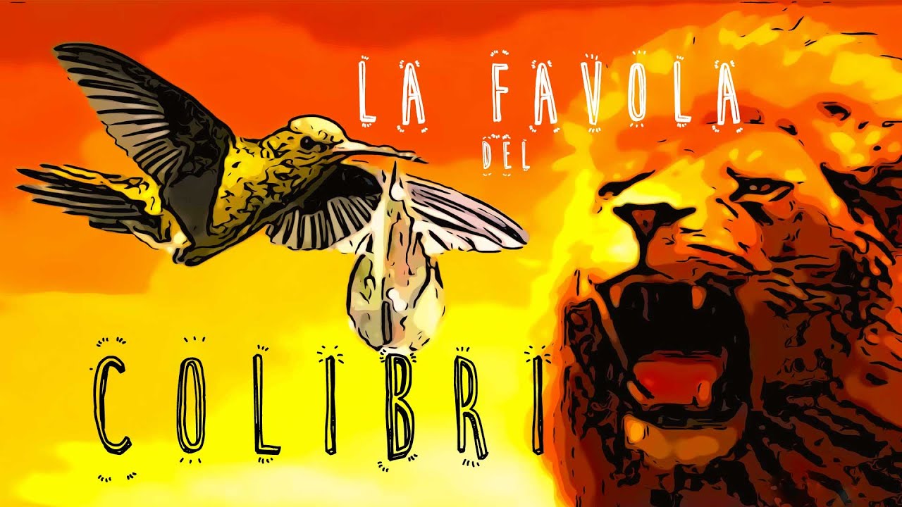 la favola del colibrì