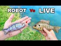 ROBOTIC FISHING LURE Vs. LIVE BAIT For Big Bass (Male KAREN Hates Fisherman!)